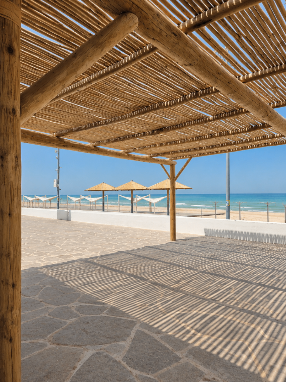 ערמת סנדות אקליפטוס טבעיות